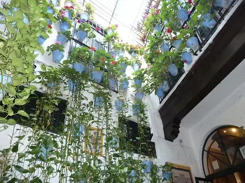 Apartamento La vida Vélez